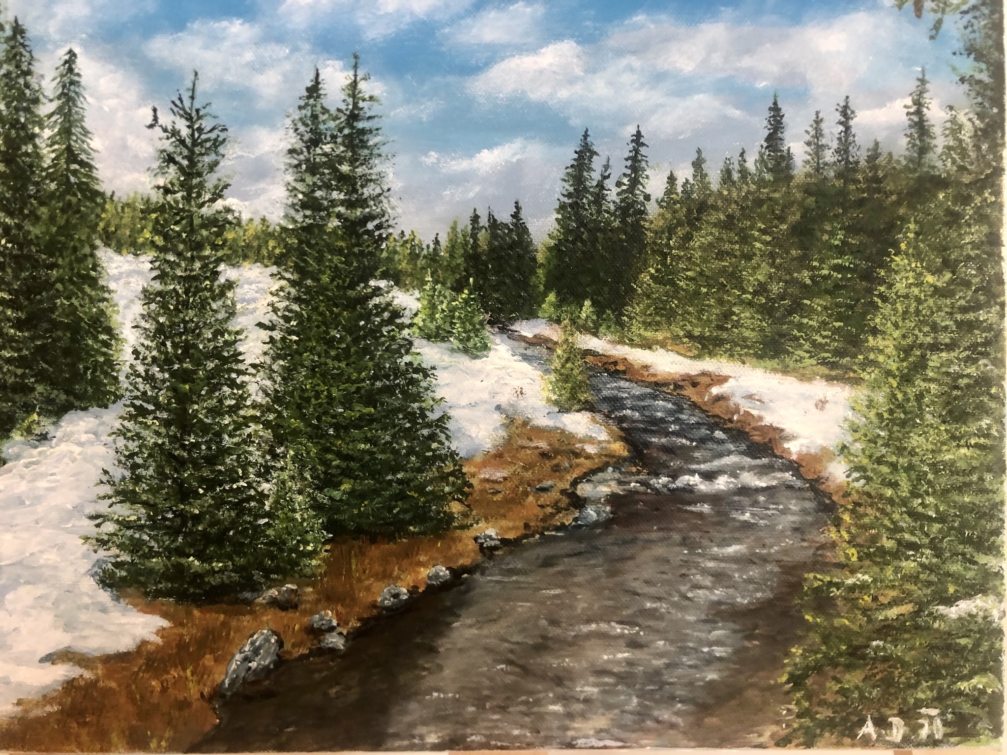 umava .Akryl 30x40cm